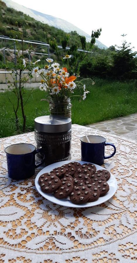 Bujtina Hader Xhebro Hostel Tepelene Bagian luar foto