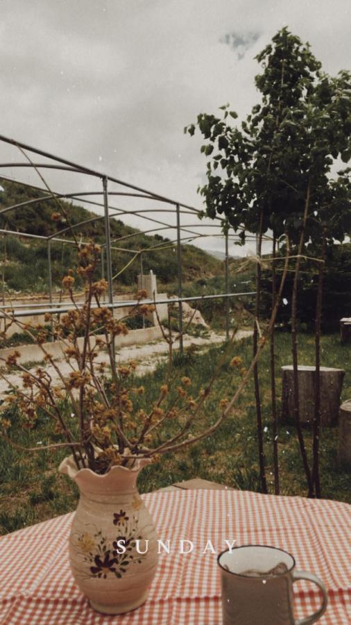 Bujtina Hader Xhebro Hostel Tepelene Bagian luar foto