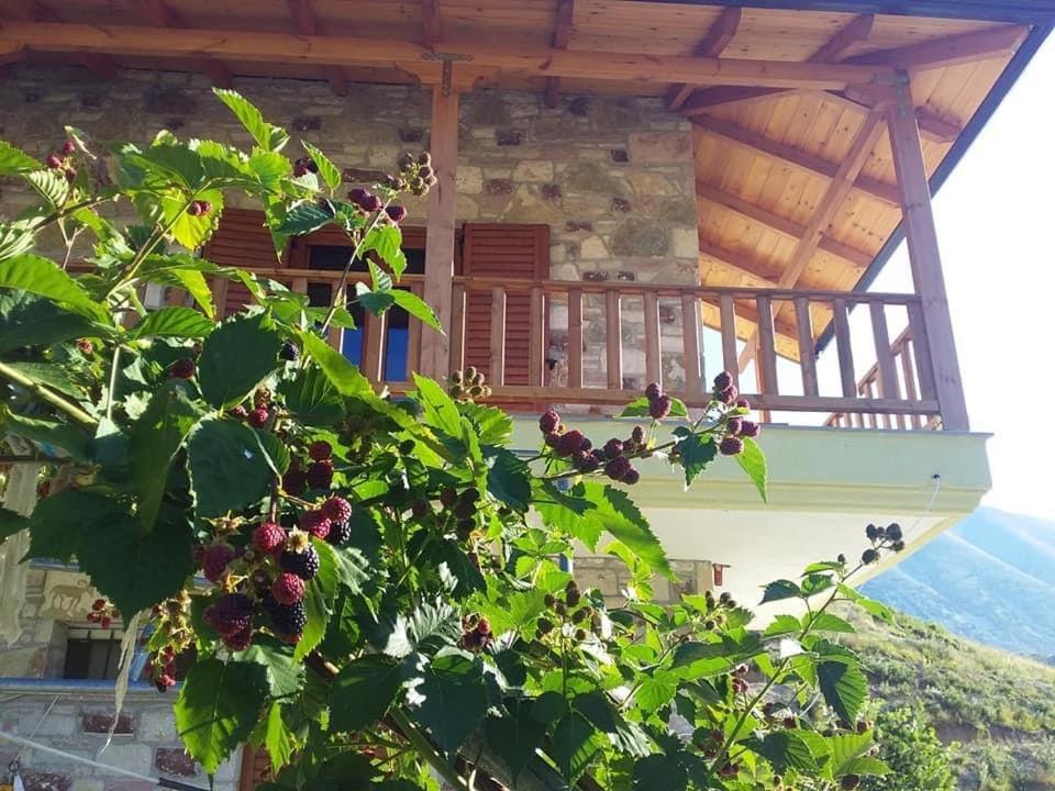 Bujtina Hader Xhebro Hostel Tepelene Bagian luar foto