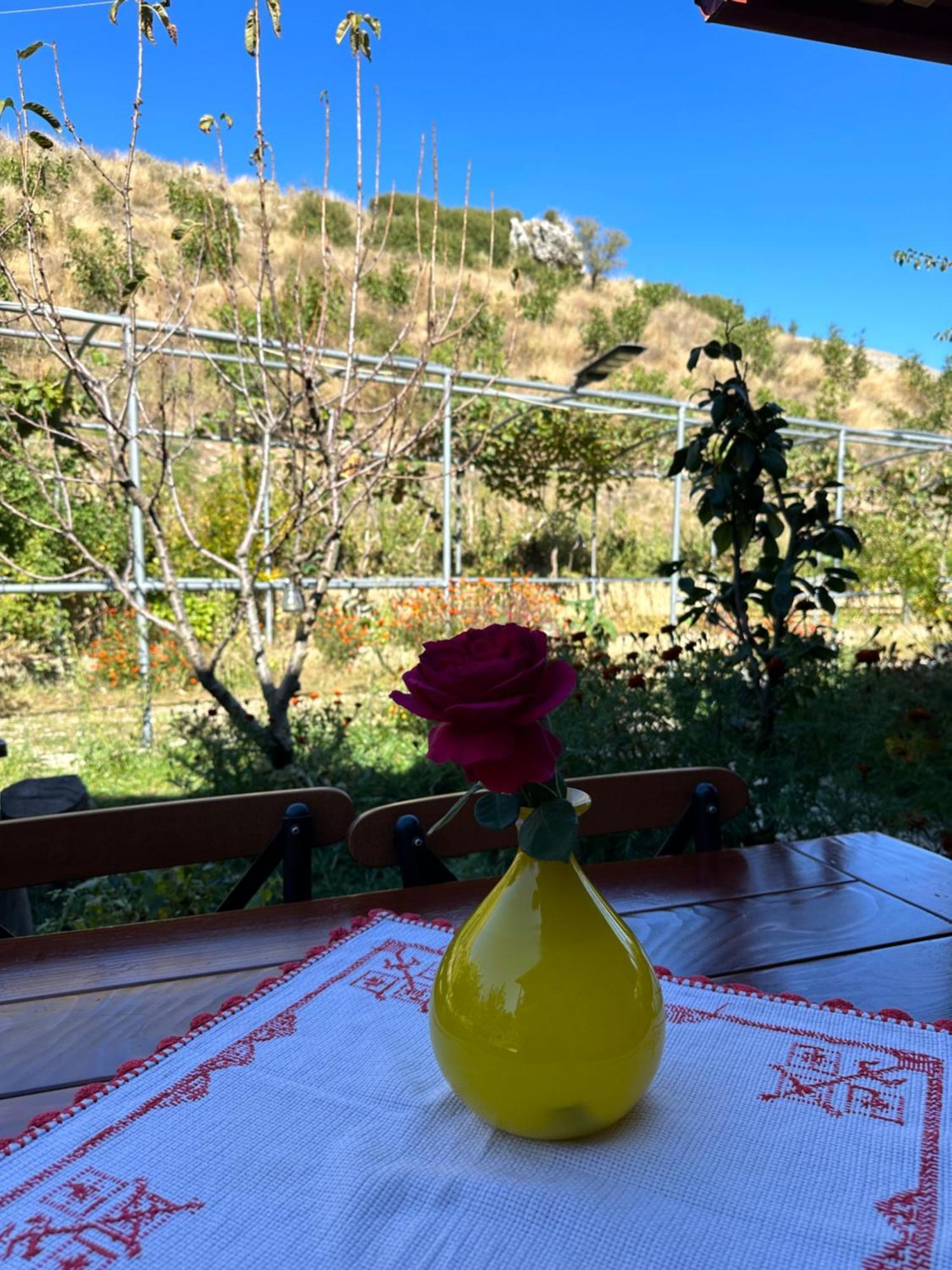 Bujtina Hader Xhebro Hostel Tepelene Bagian luar foto