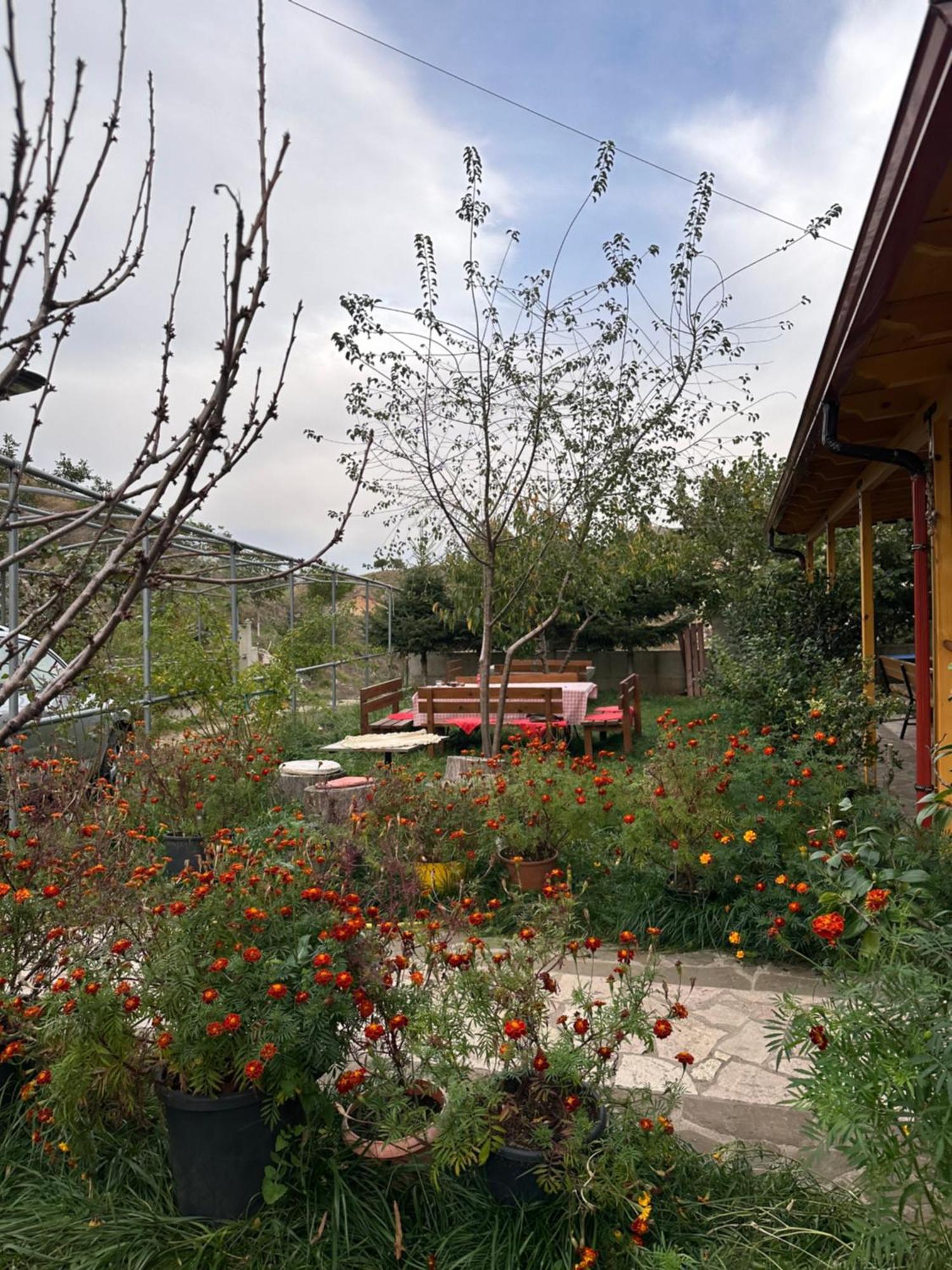 Bujtina Hader Xhebro Hostel Tepelene Bagian luar foto